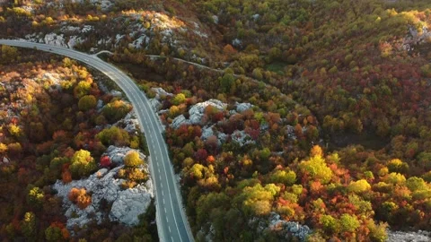 Panoramic aerial drone view of breathtaking late autumn landscape Stock Footage 252095880
