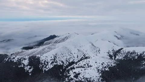 Panoramic aerial drone view of winter season with fir trees full of snow. Stock Footage 329268289