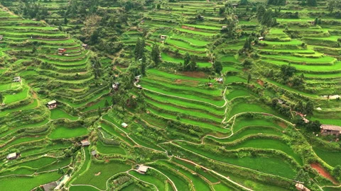 Panoramic Aerial Drone View of Xijiang Qianhu Miao Village and Rice Plantation Stock Footage 341748282