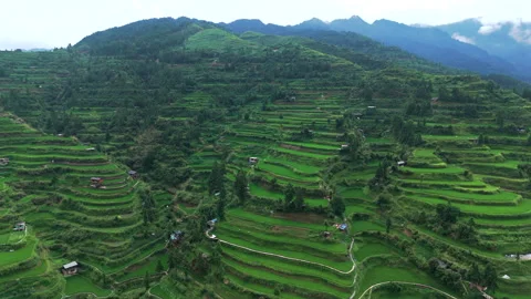 Panoramic Aerial Drone View of Xijiang Qianhu Miao Village and Rice Plantation Stock Footage 341748591