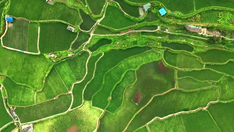 Panoramic Aerial Drone View of Xijiang Qianhu Miao Village and Rice Plantation Stock Footage 341748703