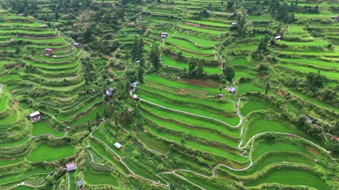 Panoramic Aerial Drone View of Xijiang Qianhu Miao Village and Rice Plantation Stock Footage 341748766