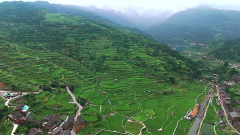 Panoramic Aerial Drone View of Xijiang Qianhu Miao Village and Rice Plantation Stock Footage 341750683