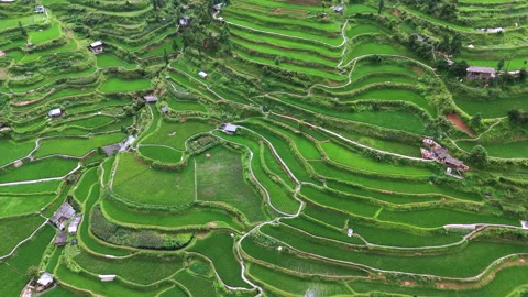 Panoramic Aerial Drone View of Xijiang Qianhu Miao Village and Rice Plantation Stock Footage 341751119