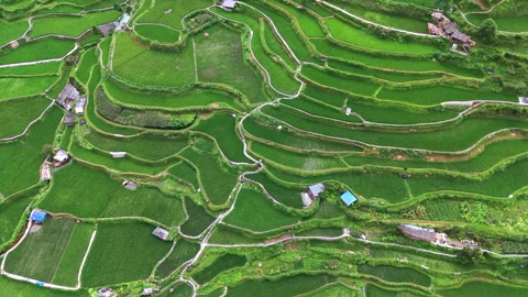 Panoramic Aerial Drone View of Xijiang Qianhu Miao Village and Rice Plantation Stock Footage 341751609