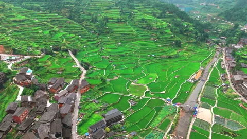 Panoramic Aerial Drone View of Xijiang Qianhu Miao Village and Rice Plantation Stock Footage 341752567