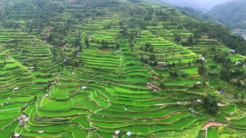Panoramic Aerial Drone View of Xijiang Qianhu Miao Village and Rice Plantation Stock Footage 341752834