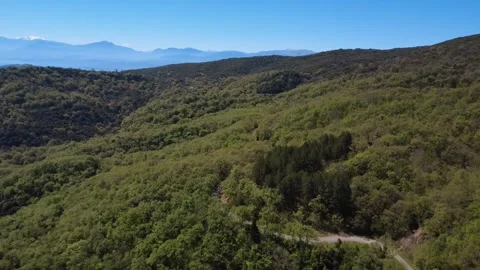 Panoramic aerial view above endless mountain forest and remote road Stock Footage 337046588