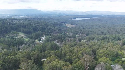 Panoramic aerial view of a dense green forest and valley Stock Footage 341913633