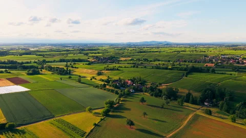 Panoramic Aerial View of Endless Green Farmland, Vineyards, and Rural Village Stock Footage 338363432