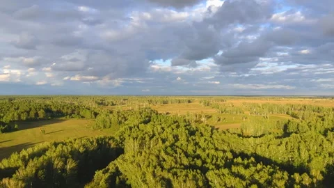 Panoramic aerial view of forest and fields at sunset Stock Footage 328965150