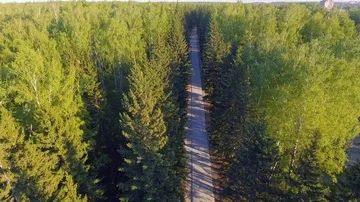 Panoramic Aerial view on forest. Road from above. Video taken using drone. Top Stock Footage 86016161