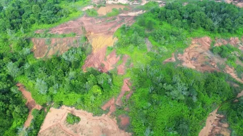 Panoramic Aerial View of Forested and Deforested Landscapes 動画素材 319459657