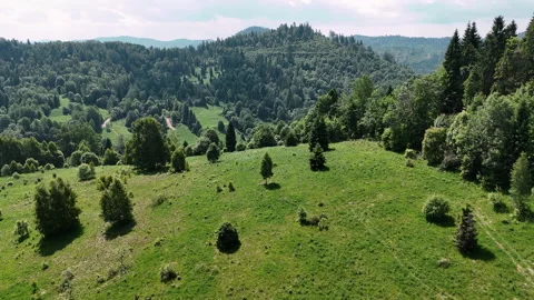 Panoramic aerial view of green rolling hills and mountain slopes covered in Stock Footage 320391188