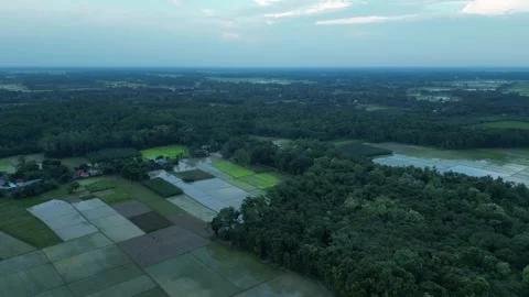 Panoramic aerial view of lush green forest adjacent to agricultural fields .. Vídeo Stock 342763437