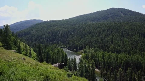 Panoramic aerial view of a mountain valley with a meandering river. Vídeos de archivo 247268478