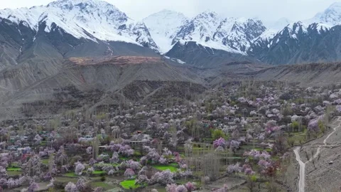 Panoramic Aerial View of Mountain Valley Village in Spring Blossom Stock-Footage 334136204
