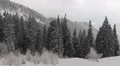 Panoramic Aerial View Pan Left Fir Tree Frozen Forest Mountain Winter Snow Frost HD Footage