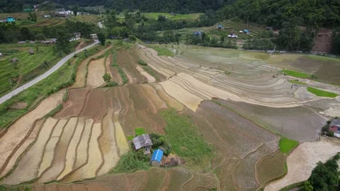 Panoramic aerial view of rice fields in Gulmi Nepal Stock Footage 156230630