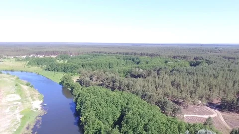 Panoramic aerial view on river and forest, sunny day Stock Footage 90495122