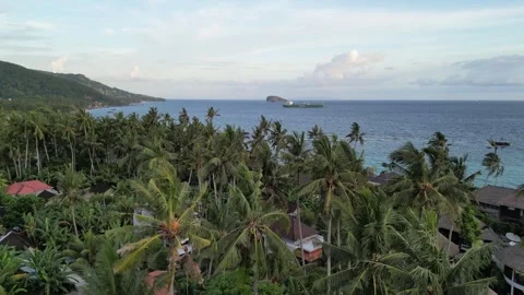 Panoramic aerial view of villas and houses among palm trees in Candi Dasa. Stock Footage 342109429