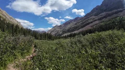 Panoramic Alpine Valley View in the Colorado Rockies Stock Footage 332739355
