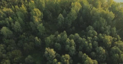 Panoramic Autumn landscape. Stock Footage 60045097