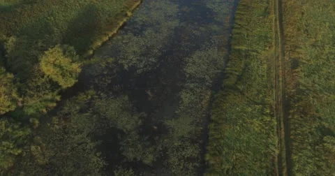 Panoramic Autumn landscape. Stock Footage 60045188