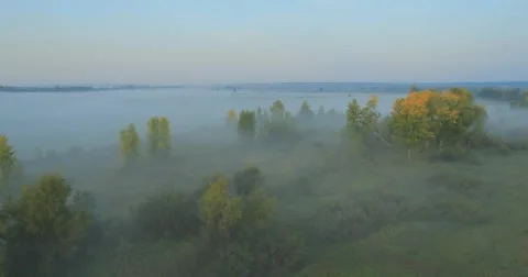 Panoramic Autumn landscape. Stock Footage 60047143