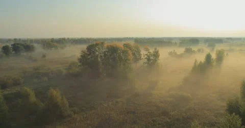 Panoramic Autumn landscape. Stock Footage 60053485