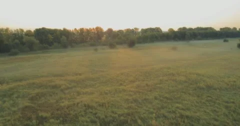 Panoramic Autumn landscape. Stock Footage 60061294