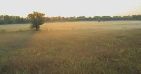 Panoramic Autumn landscape. Stock Footage 60062769