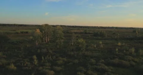 Panoramic Autumn landscape. Stock Footage 61473908