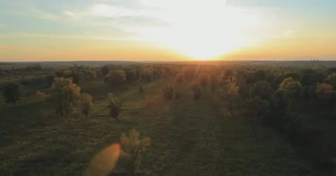 Panoramic Autumn landscape. Stock Footage 61474559