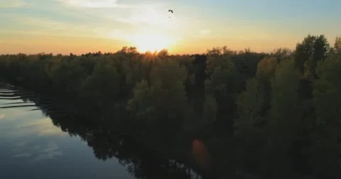 Panoramic Autumn landscape. Stock Footage 61476711