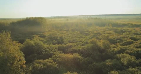 Panoramic Autumn landscape. Stock Footage 63304552
