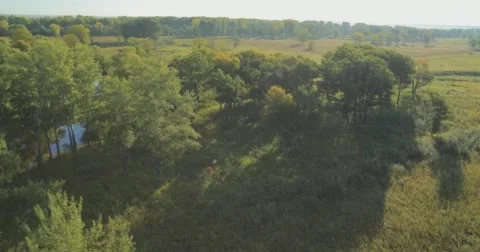 Panoramic Autumn landscape. Stock Footage 63305273