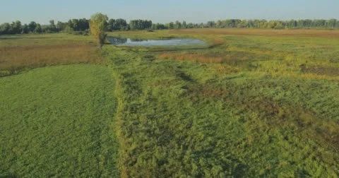 Panoramic Autumn landscape. Stock Footage 63305309