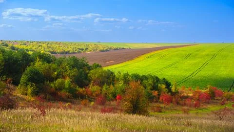 Panoramic autumn view of fields in hilly area Stock Photos