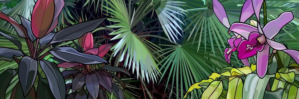 Panoramic background of dense vegetation with beautiful tropical plants Stock Illustration