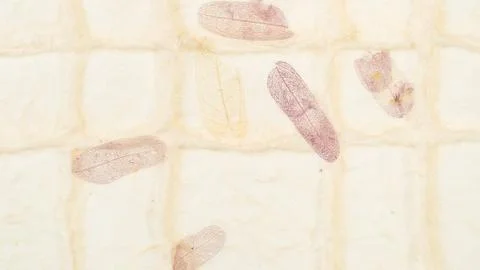 Panoramic background from paper with purple leaves Stock Photos