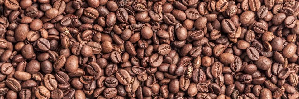 Panoramic background with roasted coffee beans Stock Photos
