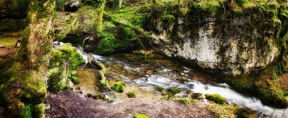 Panoramic background view of a scenic stream Stock Photos