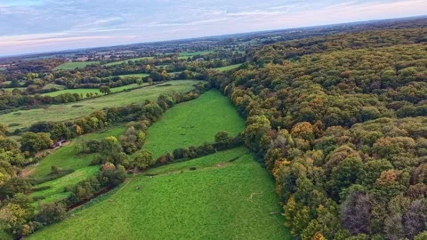 Panoramic backward drone fly of rural green fields at Concise Forest Stock Footage 321180479