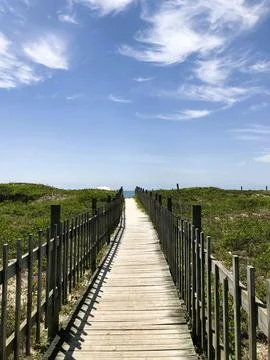 Panoramic beach path Stock Photos