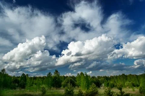Panoramic beautiful clouds in the blue sky over the forest. Panorama of blue  스톡 사진