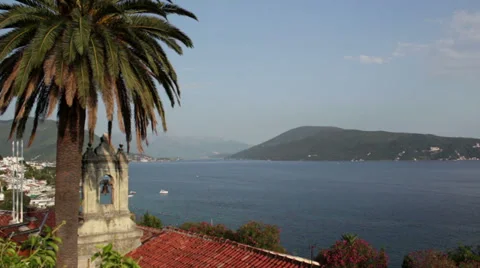 Panoramic, bell tower, palm tree Vídeo Stock 32667046