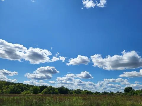 Panoramic blue sky with white clouds over forest line horizon Stock Photos