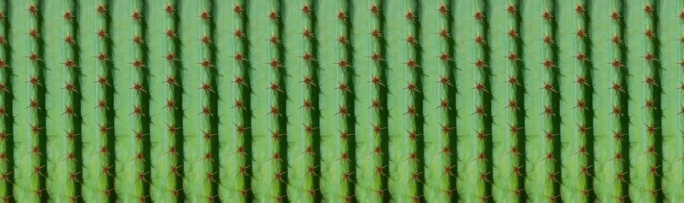 Panoramic cactus pattern for background Stock Photos