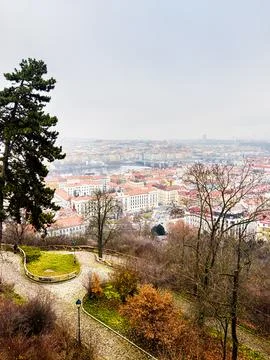 Panoramic City View from a Park Foto stock